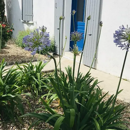 Villa 180m² Avec Piscine A La Rochelle - 8/10 Pers., Ideale Pour Familles Et Gourmets - Fr-1-710-5